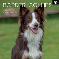 Border Collie Kalender 2026