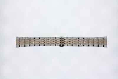Horlogeband Armani AR1921 Staal Bi-Color 22mm