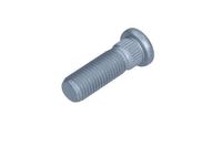 Wielbout 495092