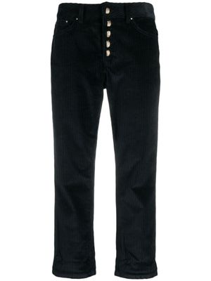 DONDUP pantalon court en velours côtelé à coupe droite - Bleu