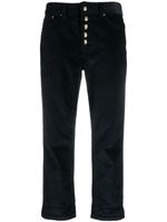 DONDUP pantalon court en velours côtelé à coupe droite - Bleu