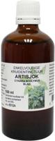 Natura Sanat Cynara scolymus / artisjok tinctuur bio