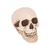 Horror decoratie schedel 21 cm   -