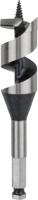 Bosch Accessoires Houtslangenboor, zeskant 30 x 100 x 160 mm, d 11,1 mm 1st - 2608585711