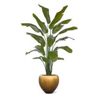 Traveller Palm promo 190cm Traveller Palm promo 190cm