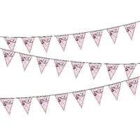 Vlaggenlijn Hoera een Meisje 6M