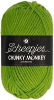 Scheepjes Chunky Monkey 2016 Fern