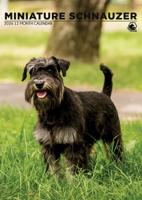 Miniatuur Schnauzer A3 Kalender 2026