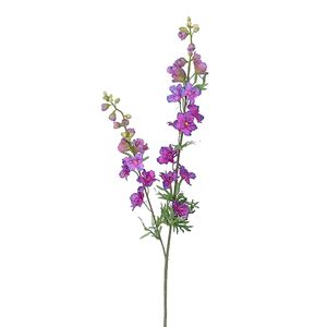 Delphinium tak d.blue - Buitengewoon de Boet