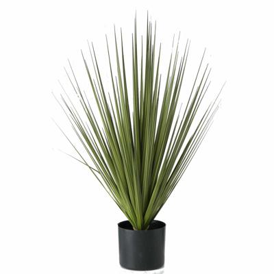Kunstplant Carex - groen - siergras - in zwarte pot - 78 cm Kunstplant Carex - groen - siergras - in zwarte pot - 78 cm