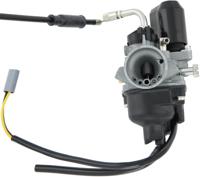 DELL&apos;ORTO Carburetor phva 14qd