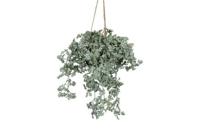 Decostar Artemisia hangplant 40 cm groen