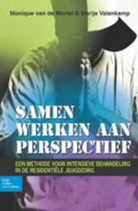 Samen werken aan perspectief (Paperback)