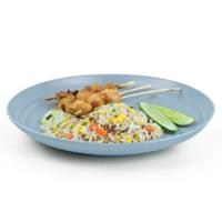 Plasticforte Rond bord/camping bord - D20 cm - ijsblauw - kunststof - onbreekbaar - servies