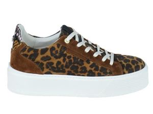 Floris van Bommel SFW-10106