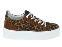Floris van Bommel SFW-10106