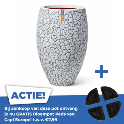 Vase elegant deluxe Clay NL 50x72 ivory