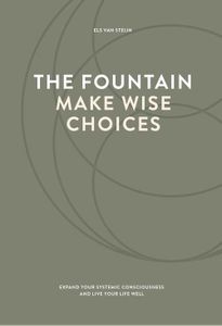 The fountain, make wise choices - Els van Steijn - ebook