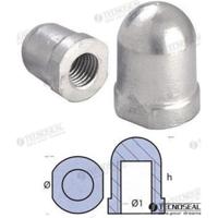 Ánodos punta de ejes Renault TEN00490 - DADO PARA ZINC EJE 20MM.