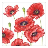 Klaprozen/poppy bloemen - 20x stuks - 33 x 33 cm - 3-laags