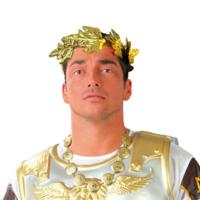 Verkleedset Romein - laurierkrans - gouden ketting - romeinse rijk