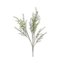 Kunstblad asparagus Moogri Groen L