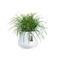 elho pure cone 45 Binnen/buiten Plantenpot Vrijstaand Lineaire lagedichtheidpolyetheen (LLDPE) Wit - thumbnail