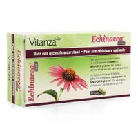 Vitanza Hq Echinacea Boost V-caps 60 - thumbnail