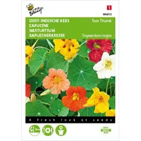 Tropaeolum, Oost-Indische kers Tom Thumb gemengd