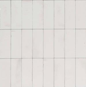 Ragno Gleeze R8GY Wandtegel 075X200 Bianco 10mm Glans