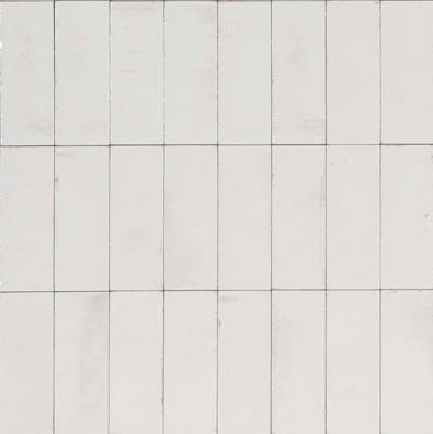Ragno Gleeze R8GY Wandtegel 075X200 Bianco 10mm Glans