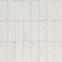 Ragno Gleeze R8GY Wandtegel 075X200 Bianco 10mm Glans