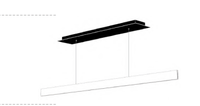 JSPR - Eden Lines canopy