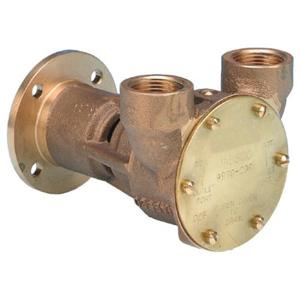 Jabsco Pump Brz Flg 040 Bsp Default