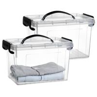 Opslagbox met deksel - 2x - transparant grijs - 6 liter - 25 x 19 x 17 cm - kunststof