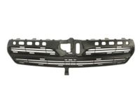 Radiateurgrille 6502078116994P