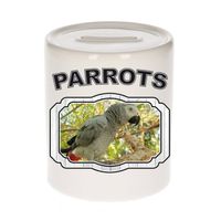 Dieren liefhebber grijze roodstaart papegaai spaarpot - papegaaien cadeau - Spaarpotten