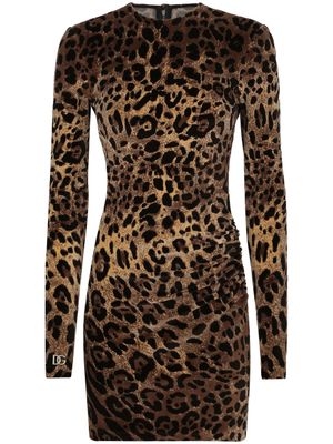 Dolce & Gabbana robe imprimée à plaque logo - Marron