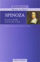 Spinoza (Paperback)