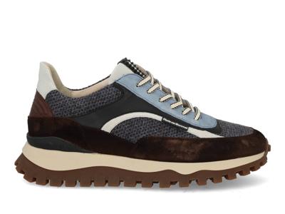 Floris van Bommel De Grommer 05.09 grey Multi grijs maat 47