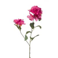 Rhododendron spray - thumbnail