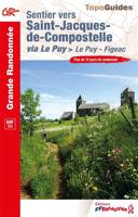 Wandelgids 651 Sentier Saint-Jacques-de-Compostelle - Le Puy-Figeac GR65 | FFRP