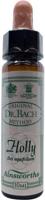 Ainsworths Holly Bach 10 Milliliter