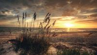Strand avond 130x70cm Tuinschilderij - Customize it