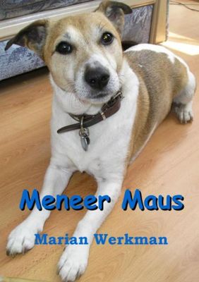 Meneer maus - Marian Werkman - ebook