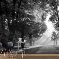 Zelfklevend fotobehang - Ochtend wandeling, bos, zwart-wit, 8 maten, premium print - thumbnail