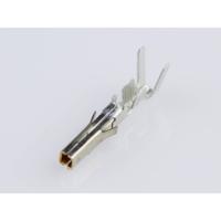 MINIFIT 39000428 Molex Inhoud: 1 stuk(s)