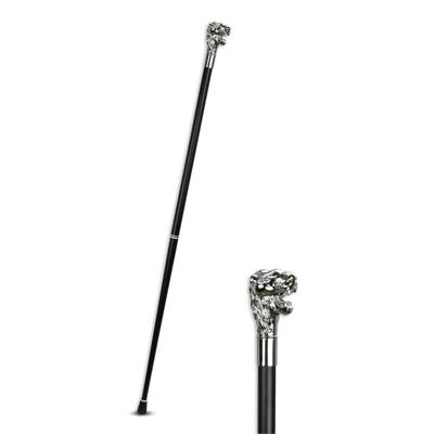 AN ALUMINIUM WALKING STICK