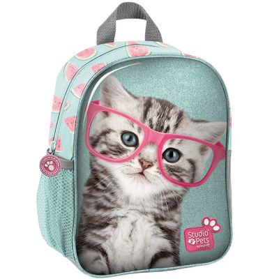 Katten/poezen school rugtas/rugzak 28 cm voor peuters/kleuters/kinderen