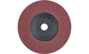 PFERD 67612185 PFF 180 A 120 SG STEELOX Lamellenschijf Diameter 180 mm Boordiameter 22.23 mm RVS, Staal 10 stuk(s)